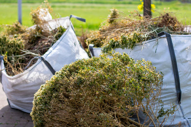 Best Attic Cleanout Services  in Canyon Day, AZ